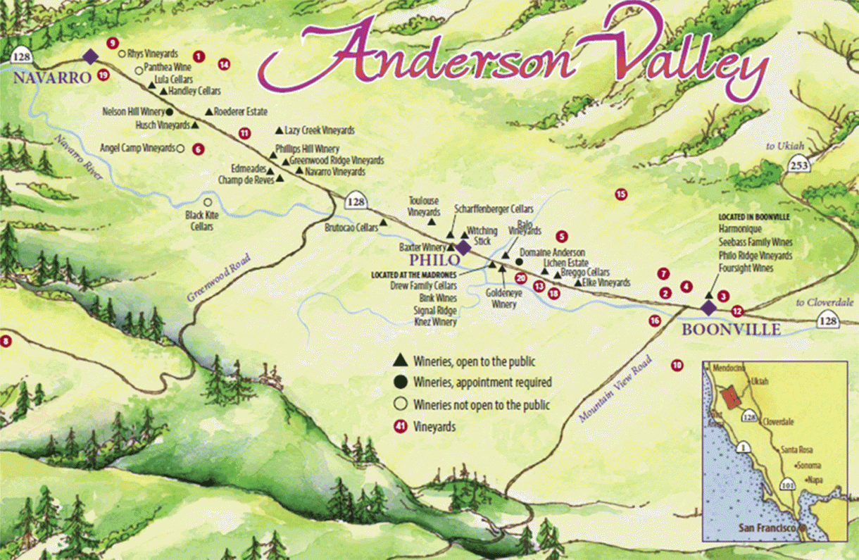 Anderson Valley can be Burgundy of California, says producer