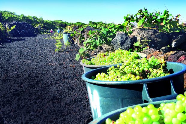 Fita Preta, Portugal