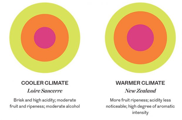 Understand wine, Berry Br