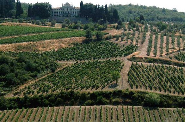 Chianti Classico vineyards in Gaiole