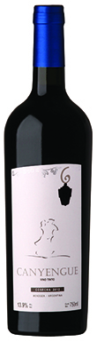 Viñedos Casta del Sur, Canyengue, Agrelo, Luján de Cuyo
