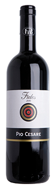 Pio-Cesare,-Fides,-Barbera-dAlba,-Piedmont,-Italy-2010
