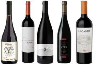 Argentina Syrah