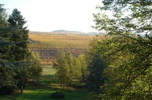 Beaujolais, France