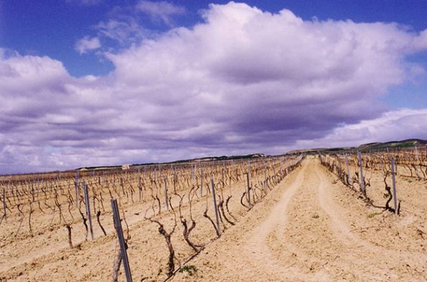 Bardenas desert, Foto viña invierno y Diego