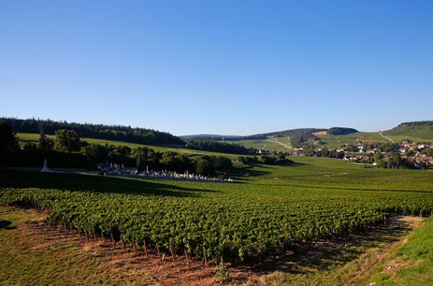 Mercurey, Côte Chalonnaise