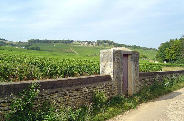Givry, Côte Chalonnaise