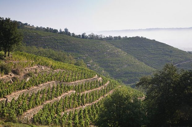 Maison Etienne Guigal