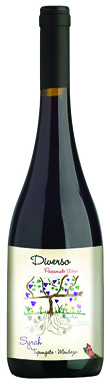 Passionate Wine, Diverso, Gualtallary Mendoza 2012