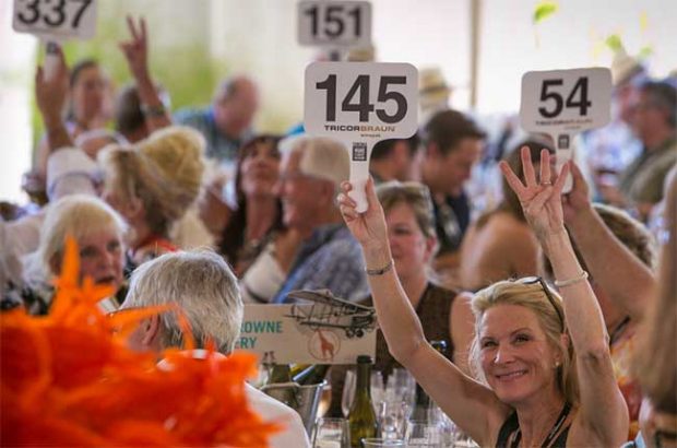 Sonoma Harvest Wine Auction, Sonoma wine