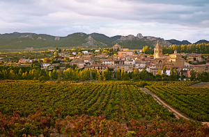 Rioja travel guide