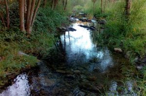 Siurana river, Priorat