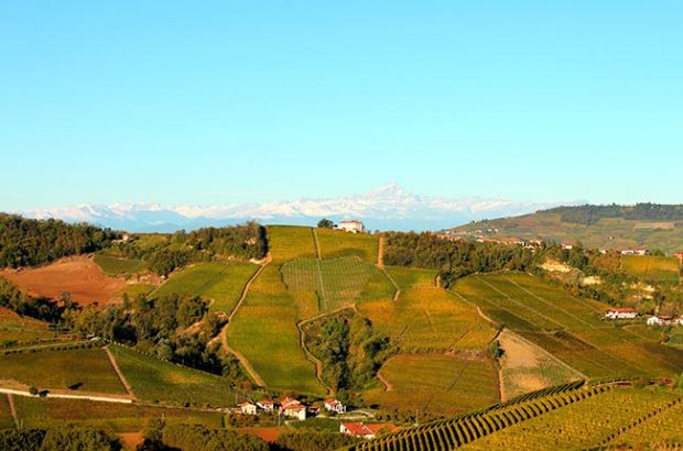 Barolo 2010