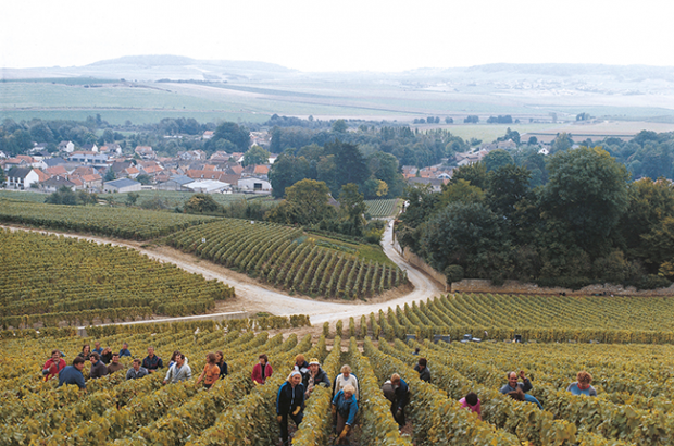 Champagne travel guide