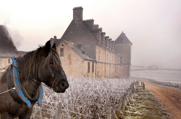 Clos de Vougeot, Côte de Nuits