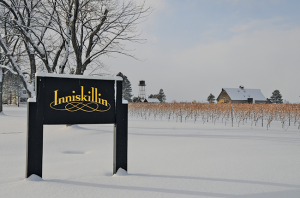 Niagara wineries, Inniskillin