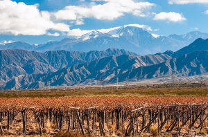 Mendoza travel guide, argentina wine quiz