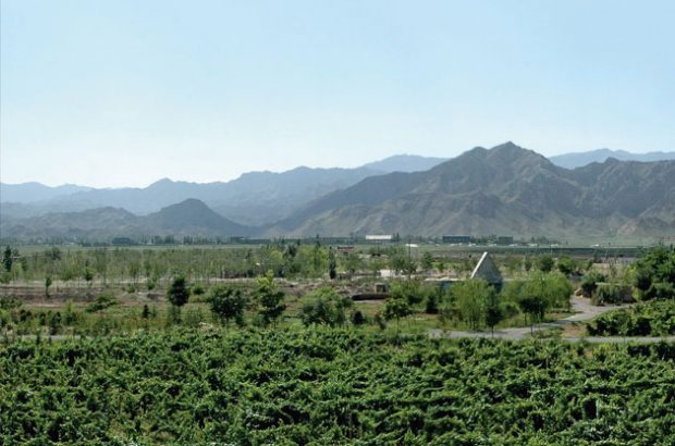 Ningxia from Decanter Magazines 