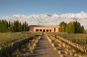 Mendoza wineries, argentina wine quiz