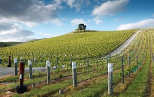 Waihopai Valley, Marlborough