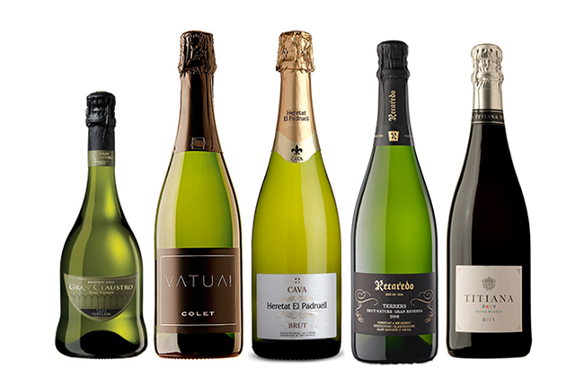 Cava for Christmas