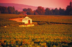 Maison Louis Jadot Chambertin Clos de Beze