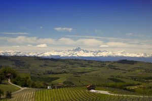 Moscato d Asti Azienda Agricola Paolo