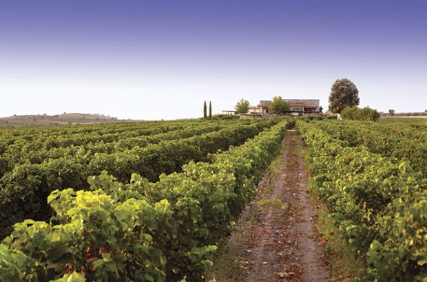 Greek wines, Ktima Gerovassiliou