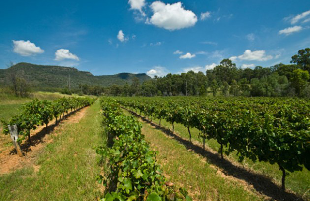Most googled travel, Hunter Valley, New South Wales