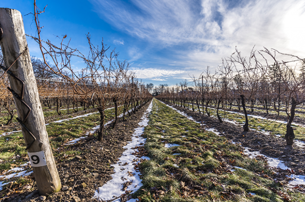 Most googled travel, Niagara, Canada