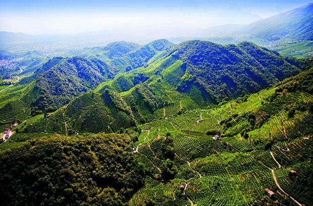 Prosecco travel guide