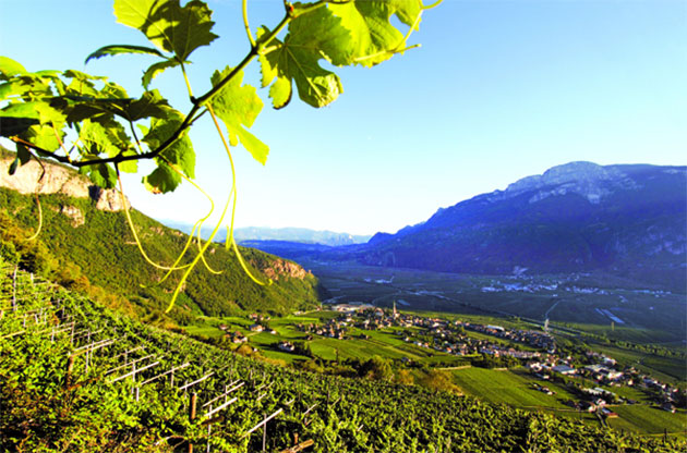 alto adige