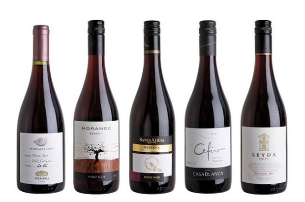 Chilean Pinot Noir