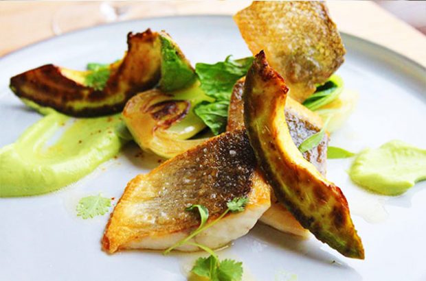 Pan seared Sea bass with avocado