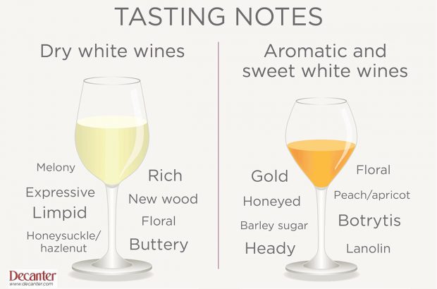 Decanter infographic of wine tasting notes