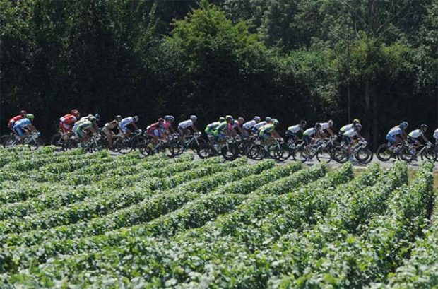 Tour de France riders near to Limoux in Languedoc-Roussillon
