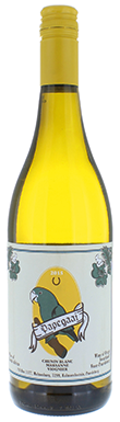 AA Badenhorst, Papegaai 2015