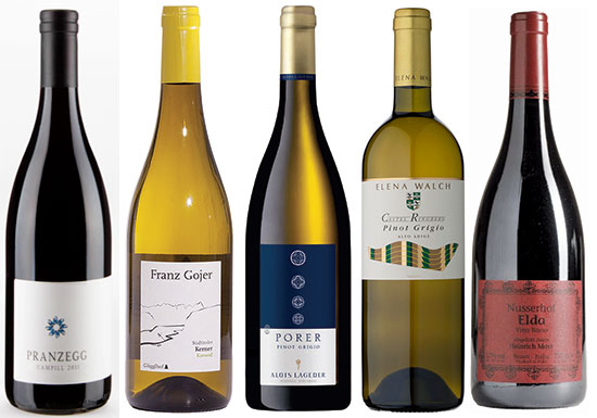 Best wines from Alto Adige: Nine to try - Decanter