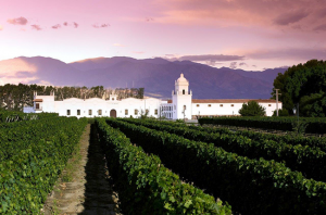 El Esteco Winery
