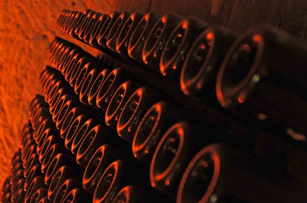 champagne cellar
