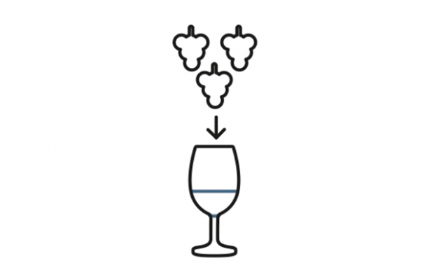 What is wine