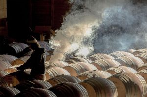 Robert Holmes, wine photographer of the year 2016, Maysara winery