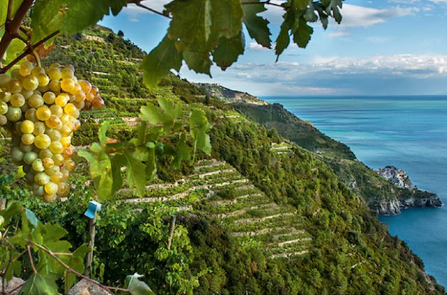 cinque terre travel guide decanter