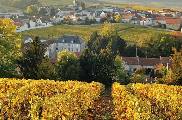 Clos du Mesnil vineyard in Champagne