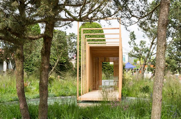 Cloudy Bay Garden, chelsea flower show