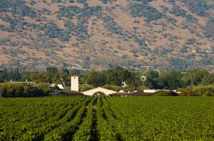 Robert Mondavi winery