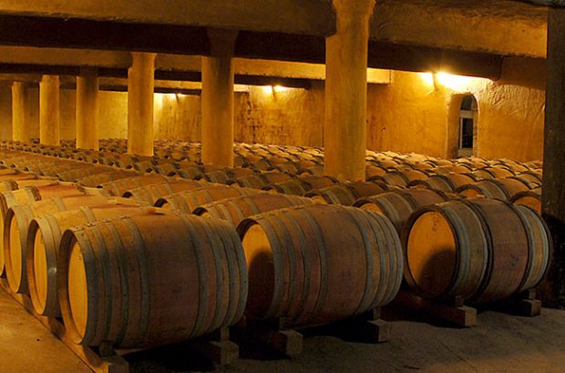 Mas de Daumas Gassac barrel room, Languedoc