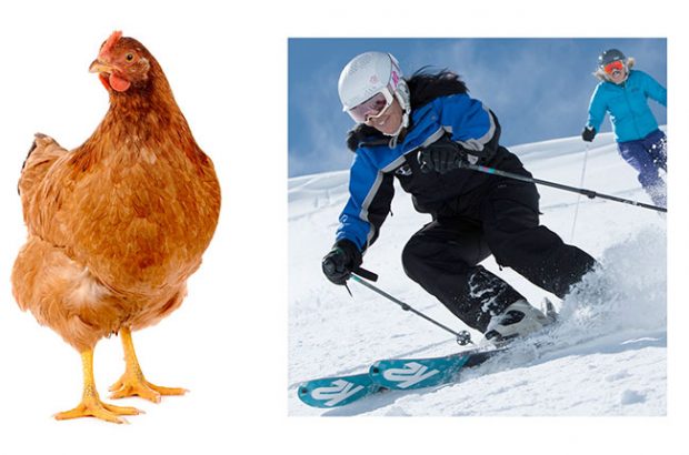 guess the wine estate