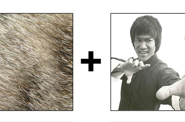 guess the wine name, wine quiz