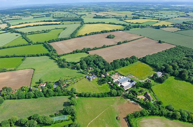 Hattingley Valley, english wine